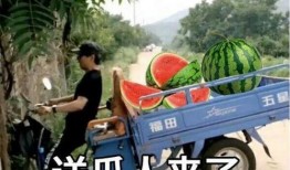 最近大瓜事件,揭秘明星隐私风波背后的真相